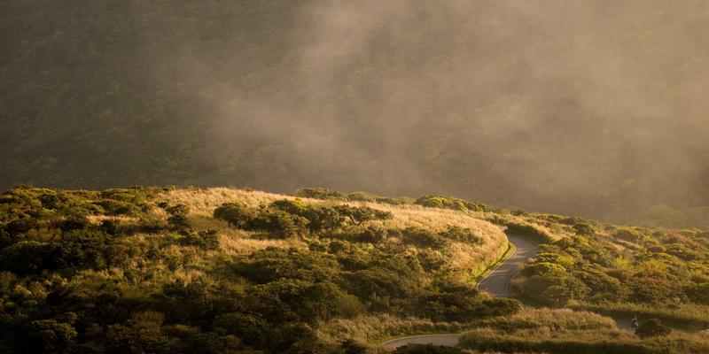 从TCP/IP到智能云网:未来十年网络技术演进的核心趋势与资源指南