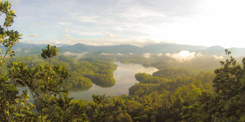 毫秒定胜负：揭秘超低延迟网络技术如何重塑金融交易与数据中心互连
